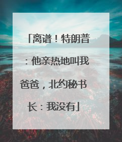 离谱！特朗普：他亲热地叫我爸爸，北约秘书长：我没有