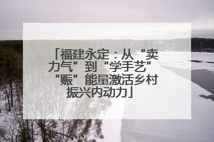 福建永定：从“卖力气”到“学手艺”“赈”能量激活乡村振兴内动力