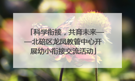 科学衔接，共育未来——北碚区龙凤教管中心开展幼小衔接交流活动