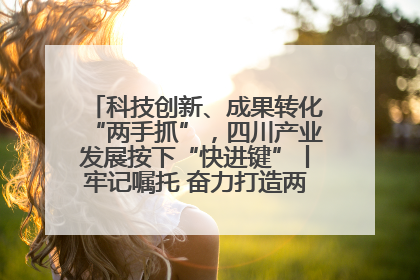 科技创新、成果转化“两手抓”，四川产业发展按下“快进键”丨牢记嘱托 奋力打造两高地两基地一屏障