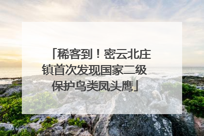 稀客到！密云北庄镇首次发现国家二级保护鸟类凤头鹰