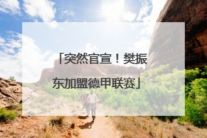 突然官宣！樊振东加盟德甲联赛