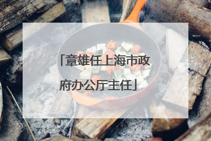 章雄任上海市政府办公厅主任