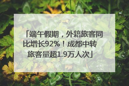 端午假期，外籍旅客同比增长92%！成都中转旅客量超1.9万人次