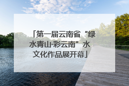 第一届云南省“绿水青山·彩云南”水文化作品展开幕