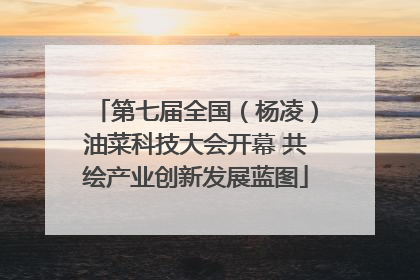 第七届全国（杨凌）油菜科技大会开幕 共绘产业创新发展蓝图