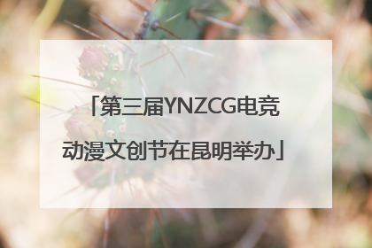 第三届YNZCG电竞动漫文创节在昆明举办