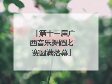 第十三届广西音乐舞蹈比赛圆满落幕
