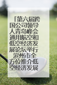 第六届跨国公司领导人青岛峰会通用航空和低空经济发展论坛举行 滨州市全方位推介低空经济发展优势