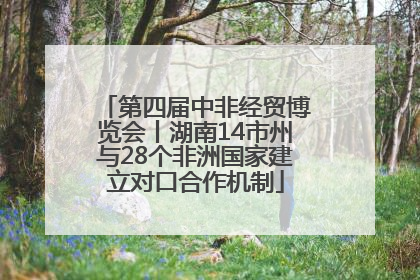 第四届中非经贸博览会丨湖南14市州与28个非洲国家建立对口合作机制