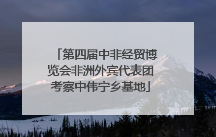 第四届中非经贸博览会非洲外宾代表团考察中伟宁乡基地