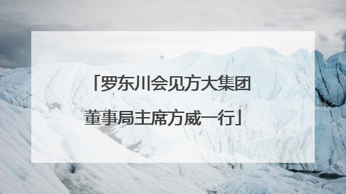 罗东川会见方大集团董事局主席方威一行