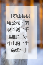 罗山县供电公司：装设监测“千里眼” 守牢电网“生命线”