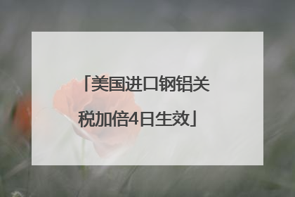 美国进口钢铝关税加倍4日生效