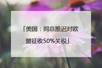 美国：同意推迟对欧盟征收50%关税