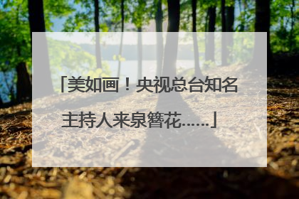 美如画！央视总台知名主持人来泉簪花……