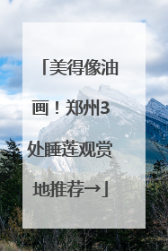 美得像油画！郑州3处睡莲观赏地推荐→