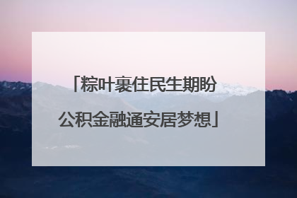 粽叶裹住民生期盼 公积金融通安居梦想