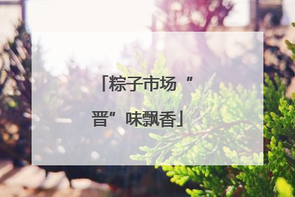 粽子市场“晋”味飘香