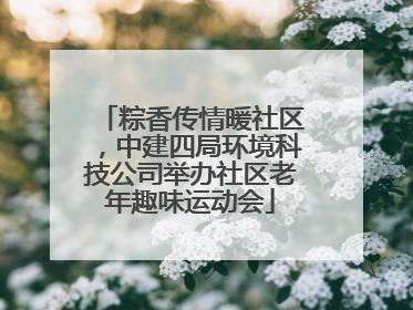 粽香传情暖社区，中建四局环境科技公司举办社区老年趣味运动会