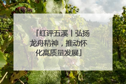红评五溪丨弘扬龙舟精神，推动怀化高质量发展