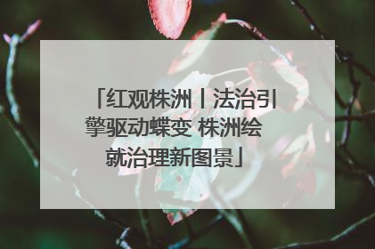 红观株洲丨法治引擎驱动蝶变 株洲绘就治理新图景