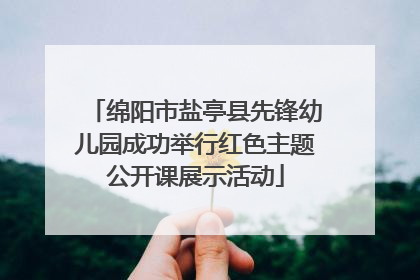 绵阳市盐亭县先锋幼儿园成功举行红色主题公开课展示活动