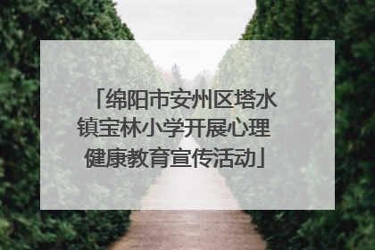 绵阳市安州区塔水镇宝林小学开展心理健康教育宣传活动