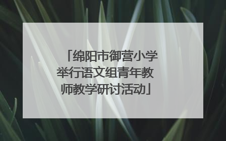 绵阳市御营小学举行语文组青年教师教学研讨活动