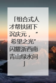 组合式人才帮扶团下沉庆元，“希望之光”闪耀浙西南青山绿水间