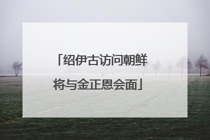 绍伊古访问朝鲜 将与金正恩会面