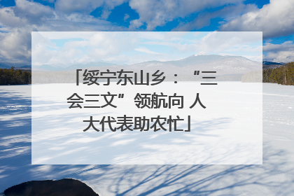 绥宁东山乡：“三会三文”领航向 人大代表助农忙