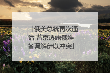 俄美总统再次通话 普京透露俄准备调解伊以冲突