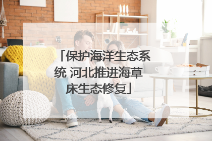 保护海洋生态系统 河北推进海草床生态修复