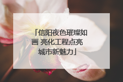 信阳夜色璀璨如画 亮化工程点亮城市新魅力