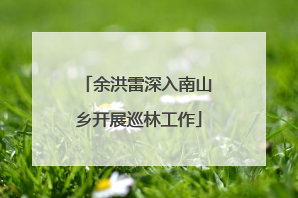 余洪雷深入南山乡开展巡林工作