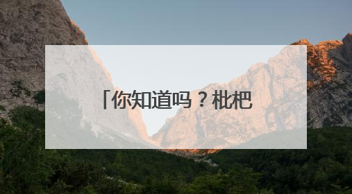 你知道吗？枇杷是镇江特色水果之一！镇江枇杷喜获长三角精品枇杷推选金奖
