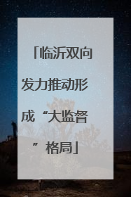 临沂双向发力推动形成“大监督”格局