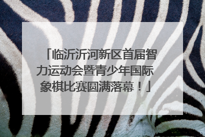 临沂沂河新区首届智力运动会暨青少年国际象棋比赛圆满落幕！