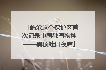 临沧这个保护区首次记录中国独有物种——黑顶蛙口夜鹰