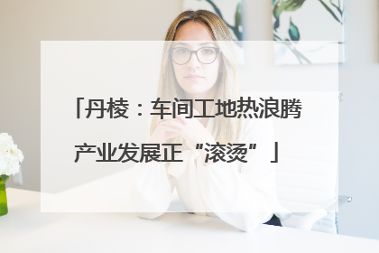 丹棱：车间工地热浪腾产业发展正“滚烫”