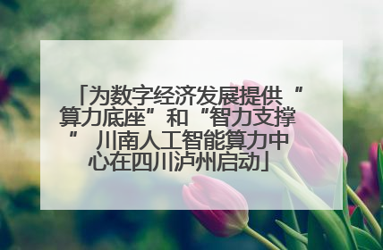 为数字经济发展提供“算力底座”和“智力支撑” 川南人工智能算力中心在四川泸州启动