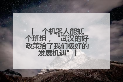 一个机器人能抵一个班组，“武汉的好政策给了我们极好的发展机遇”