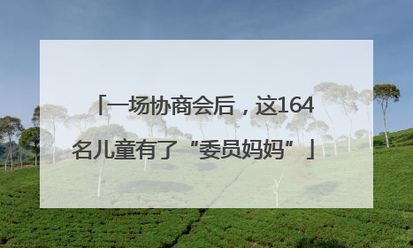 一场协商会后，这164名儿童有了“委员妈妈”