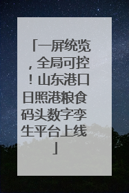 一屏统览，全局可控！山东港口日照港粮食码头数字孪生平台上线