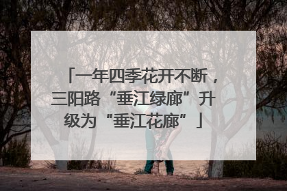 一年四季花开不断，三阳路“垂江绿廊”升级为“垂江花廊”