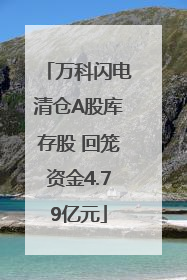 万科闪电清仓A股库存股 回笼资金4.79亿元