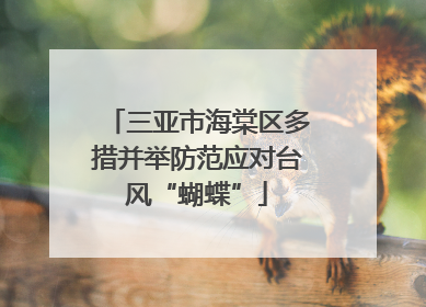 三亚市海棠区多措并举防范应对台风“蝴蝶”