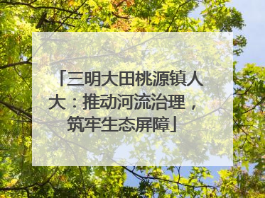 三明大田桃源镇人大：推动河流治理，筑牢生态屏障