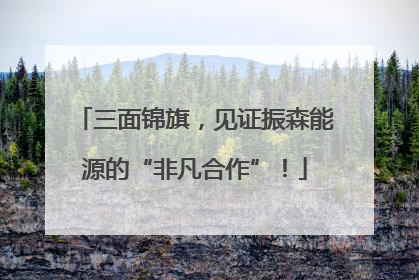 三面锦旗，见证振森能源的“非凡合作”！